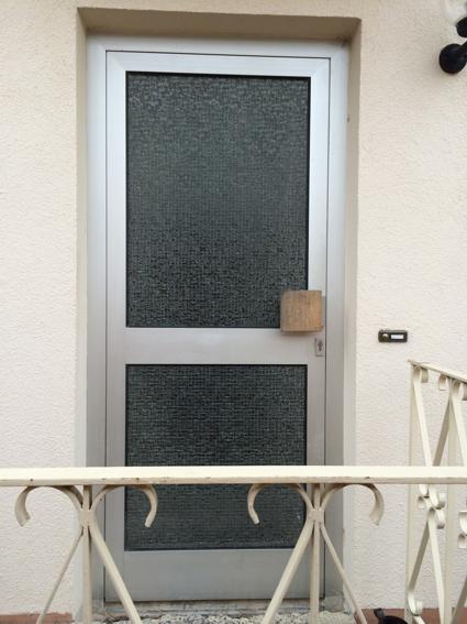 Haustür silbern mit zwei großen Lichtausschnitten  